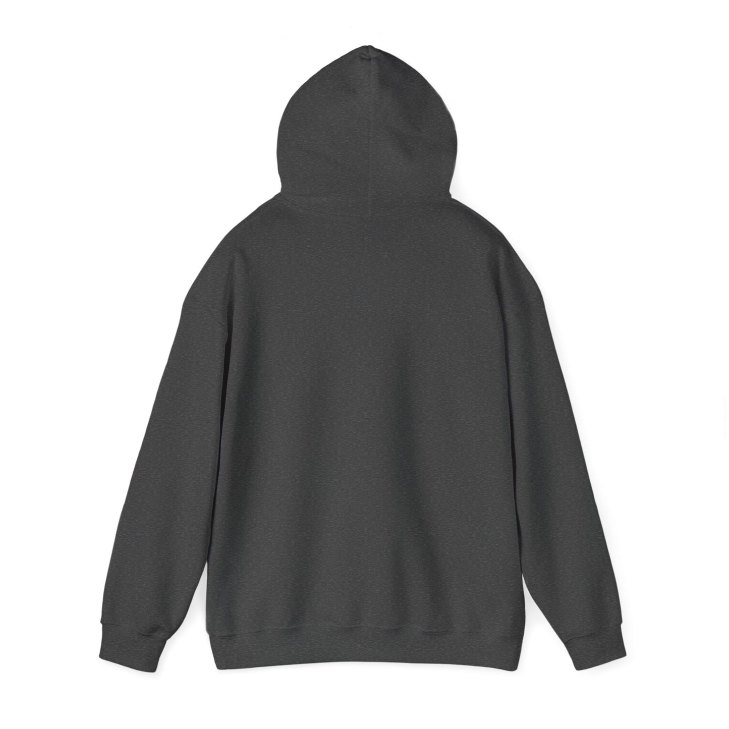 Taking Souls & Laying Pole Hoodie